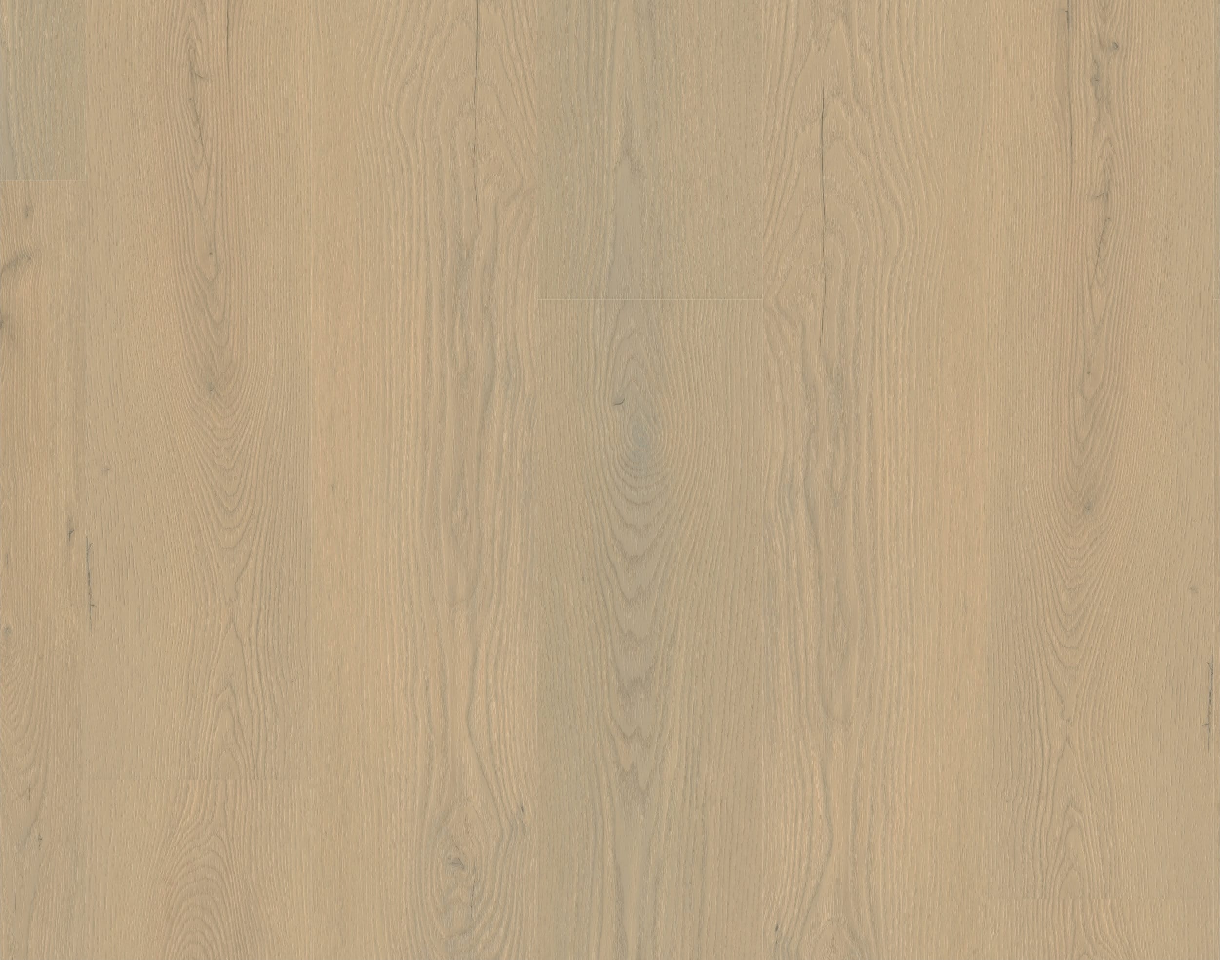 Rigid-Vinyl Authentic Aurelia